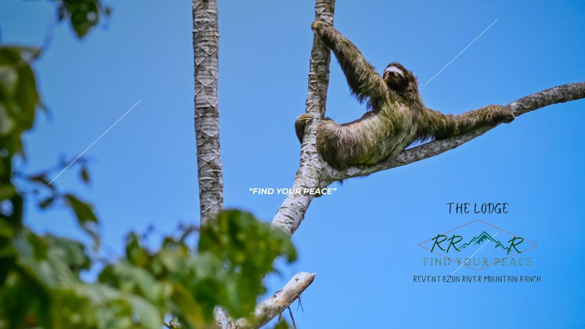 The Lodge At Reventazon River Mountain Ranch Turrialba Ngoại thất bức ảnh